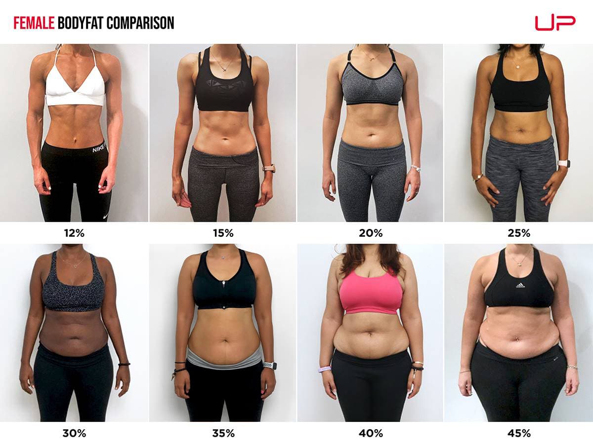 Female Body Fat Percentage Visual Reference