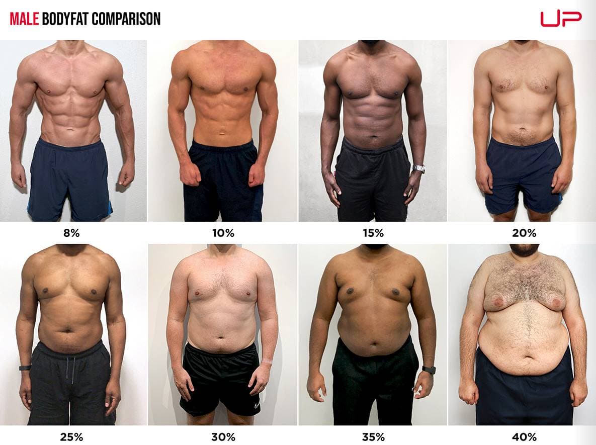 Male Body Fat Percentage Visual Reference